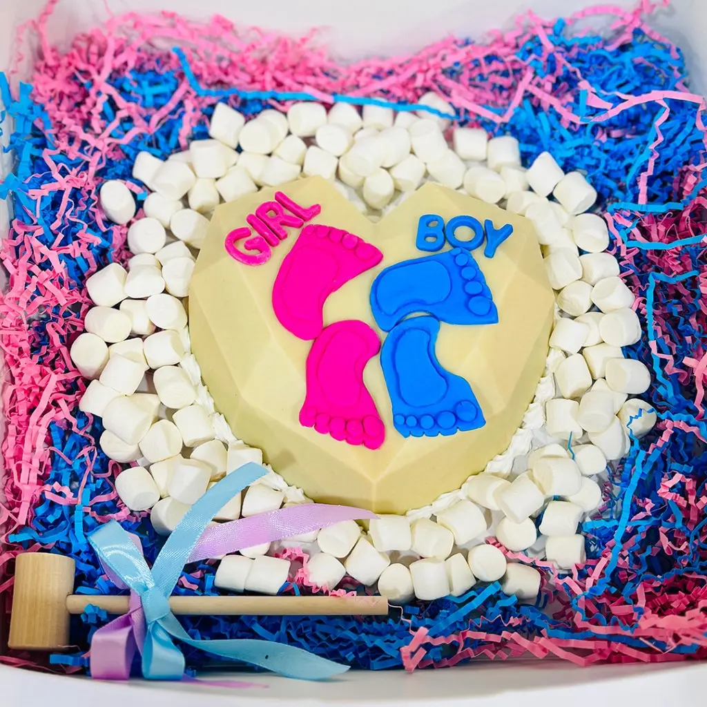 Girl or Boy Gender Revealing Pinata Surprise